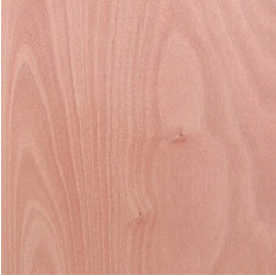 IPPencil Cedar